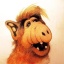 Alf